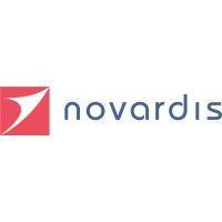 novardis consulting logo image