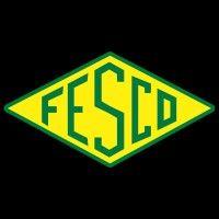 fesco, ltd logo image