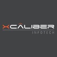 xcaliber infotech pvt. ltd. - a phoenix group company logo image