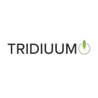 tridiuum (now lucet) logo image