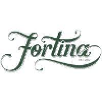 fortina logo image