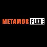 metamorflix logo image