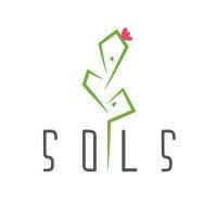 sols shoes logo image