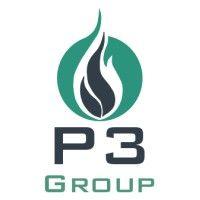 p3 group inc logo image