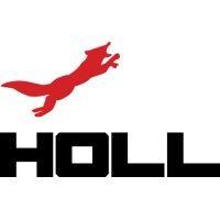 holl & company logo image