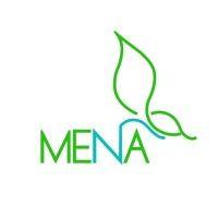 mena youth network logo image