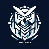 snowise technologies logo image