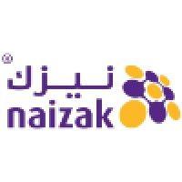 naizak global engineering systems logo image