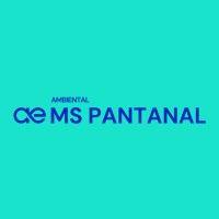 ambiental ms pantanal