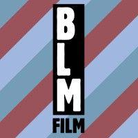 blmfilm gmbh logo image