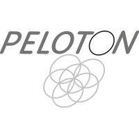 peloton constructions pty ltd logo image