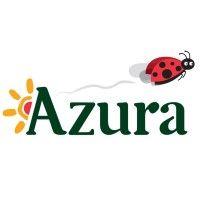 azura group logo image