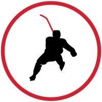 perfect skating logo image