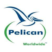 pelican worldwide logo image