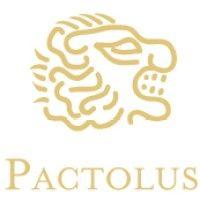 pactolus private wealth management, llc logo image