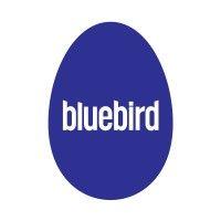 bluebird logo image