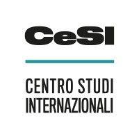 cesi - centro studi internazionali logo image