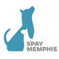 spay memphis logo image