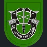 10th special forces group (airborne) logo image