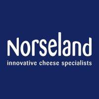 norseland logo image