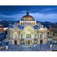 museo del palacio de bellas artes logo image