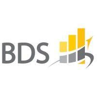 bds chartered accountants ltd