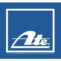 alfred teves brake systems (pty) ltd. logo image