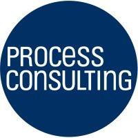 process management consulting gmbh