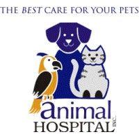 animal hospital inc.