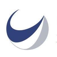 frankfurt school student consulting gmbh logo image