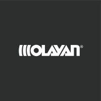 the olayan group logo image