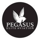 logo of Pegasus Elite Aviation