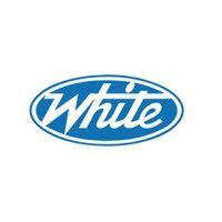 white systems inc logo image