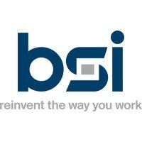 bsi (building service inc.) logo image