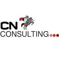 cn consulting, a cn textil company