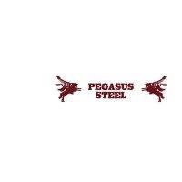 pegasus steel south africa logo image