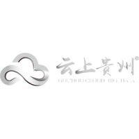 云上贵州大数据产业发展有限公司 logo image