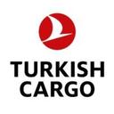 logo of Turkish Cargo