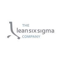 the lean six sigma company sri lanka logo image