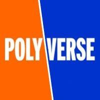 polyverse corporation logo image