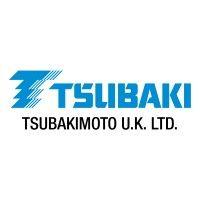 tsubakimoto u.k. ltd. logo image