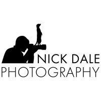 nick dale safari & wildlife photography