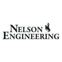 nelson engineering logo image