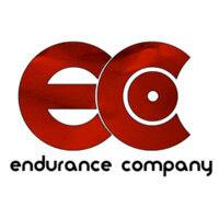 endurance company llc logo image