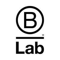 b lab logo image