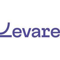 levare international limited logo image