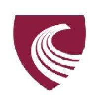 chartered accountants ireland logo image