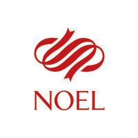 noel gifts international ltd logo image