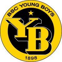 bsc young boys logo image