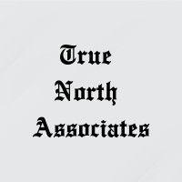 true north associates logo image